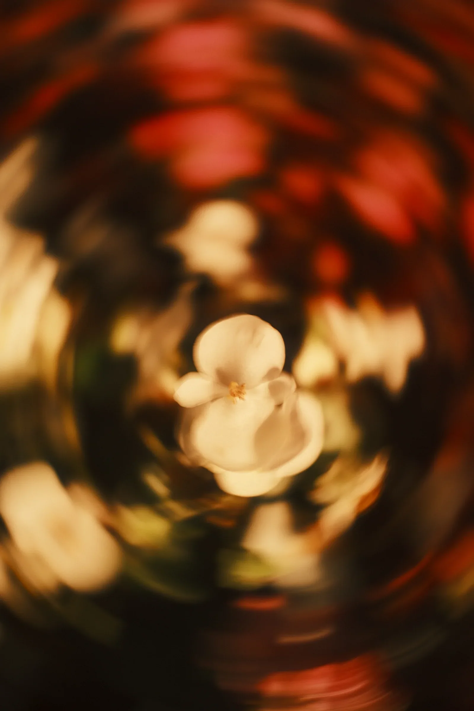 Dream State, a photograph by Frederik Strobl