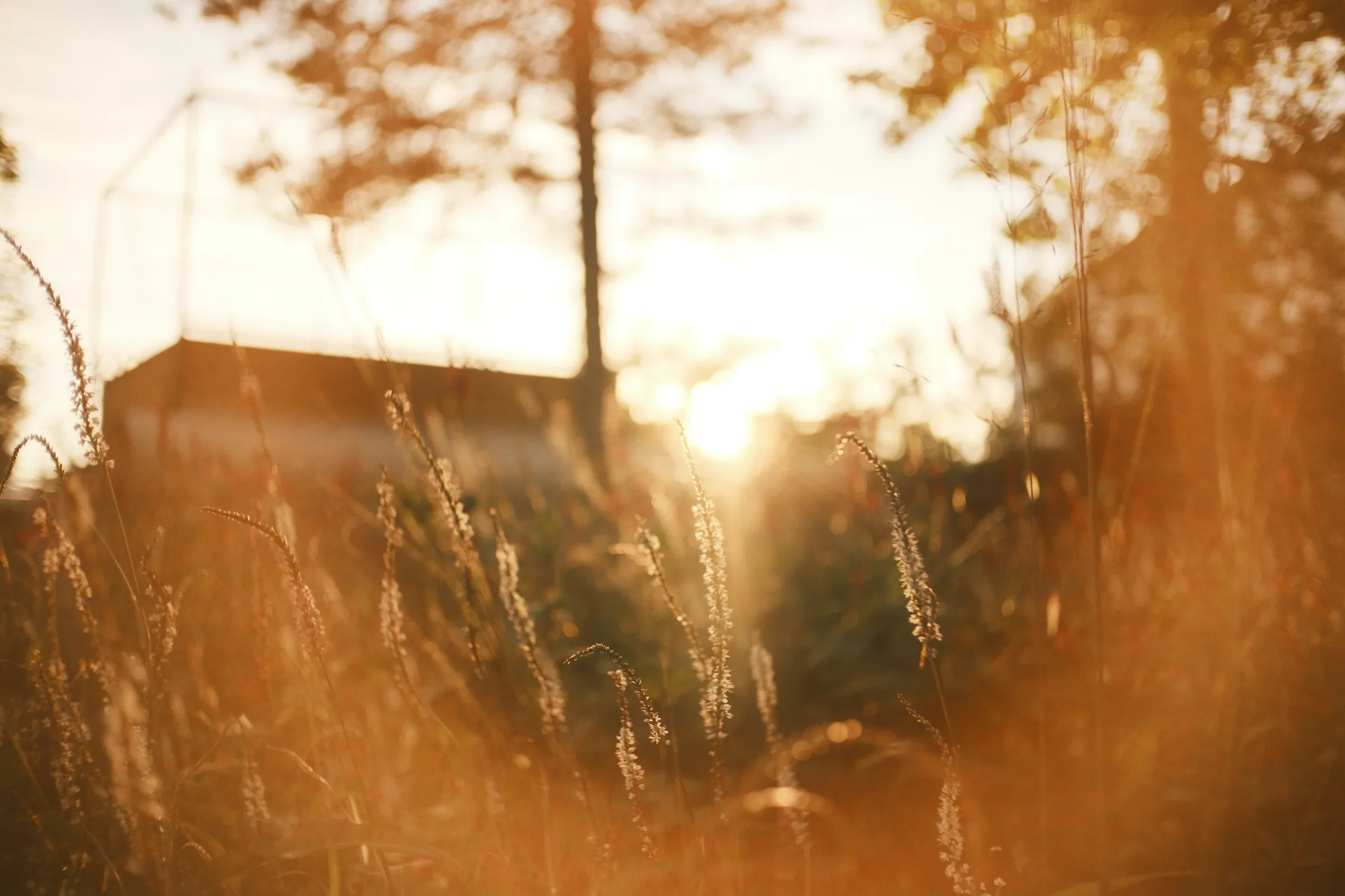 Silence, a photograph by Frederik Strobl