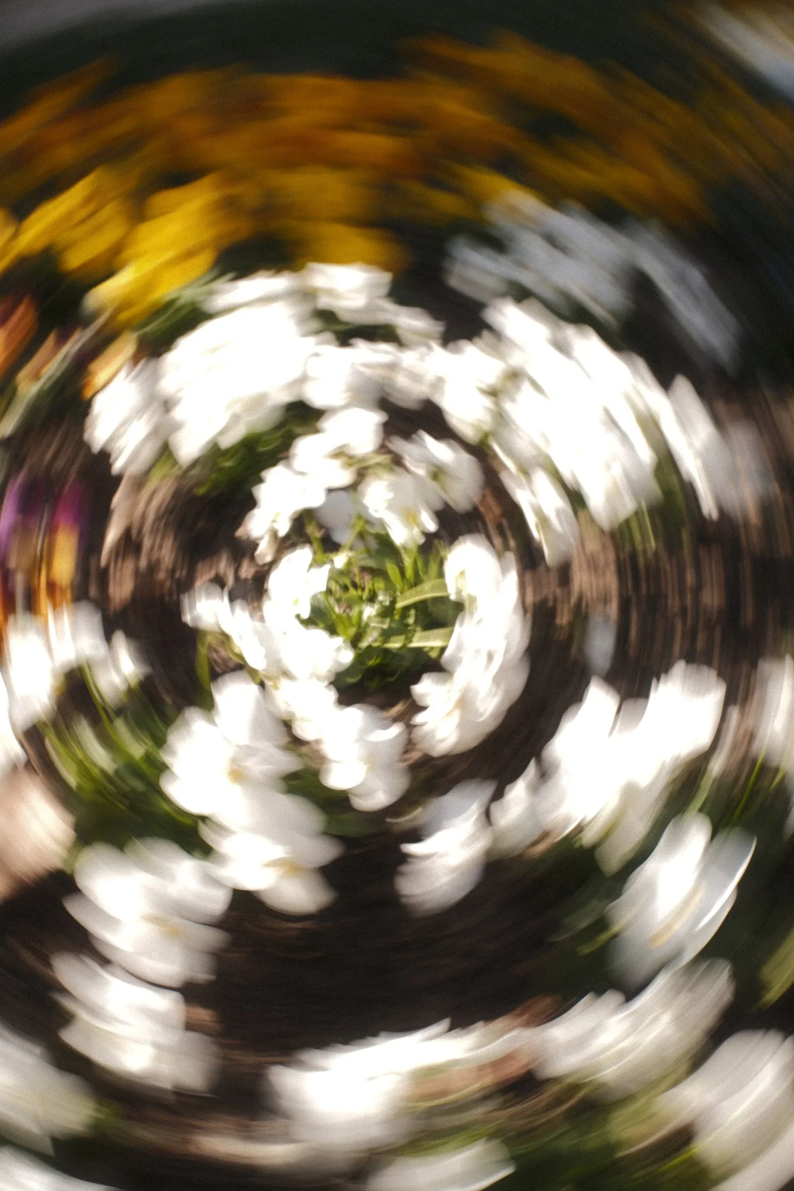 Dream State, a photograph by Frederik Strobl