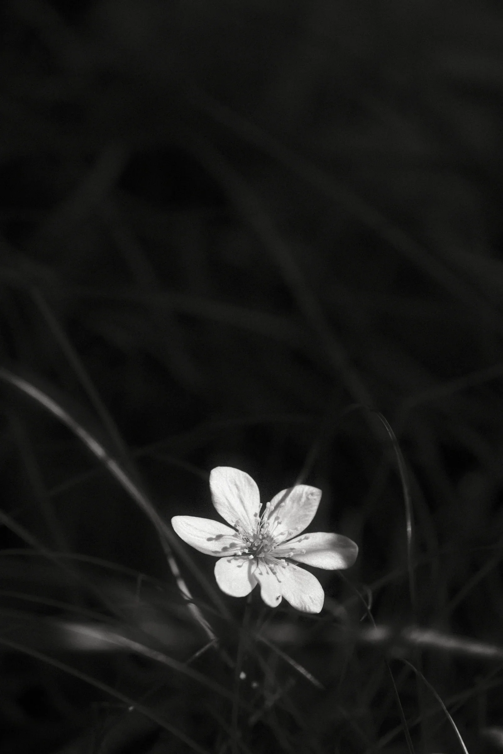 Silence, a photograph by Frederik Strobl
