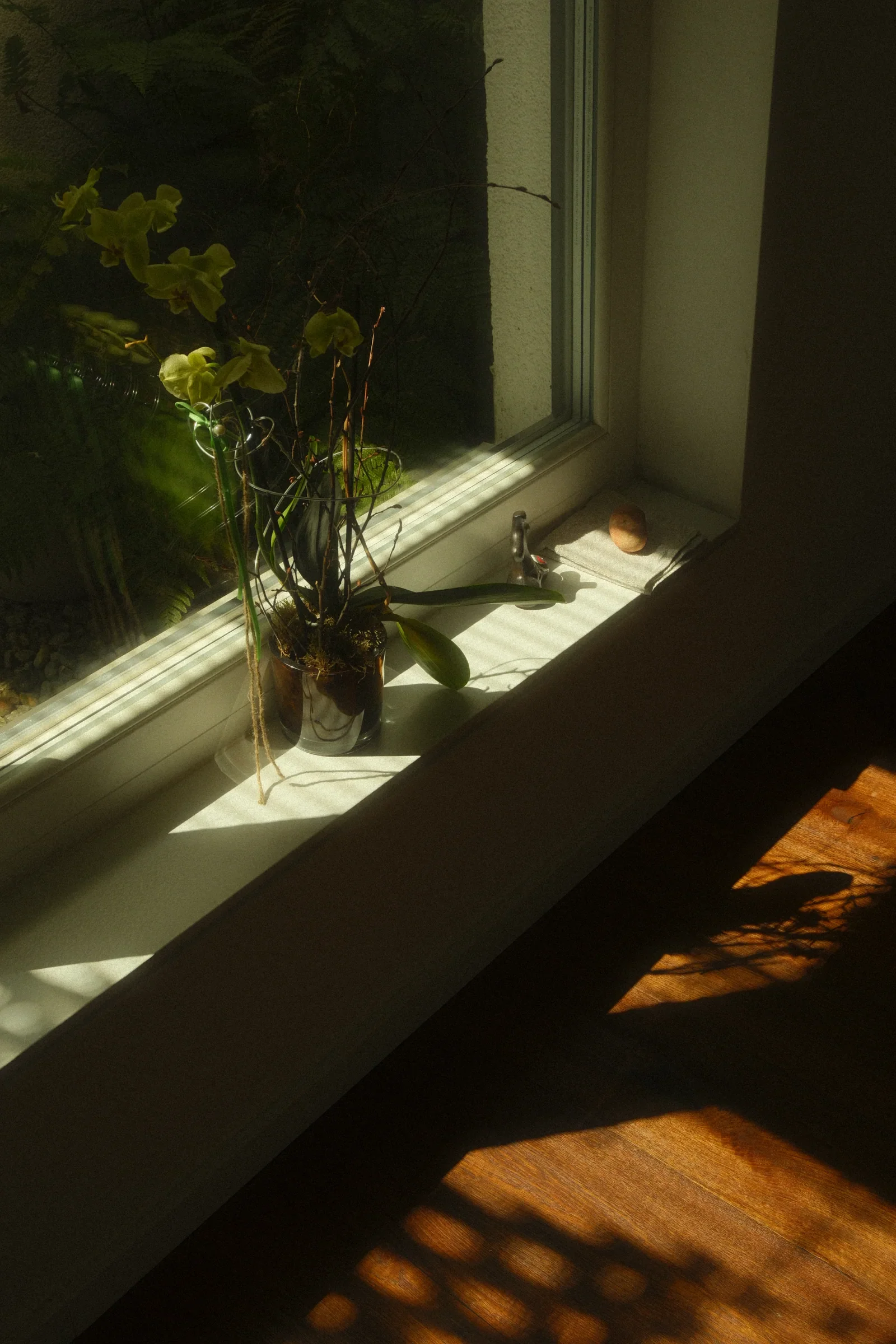Human Condition, a photograph by Frederik Strobl