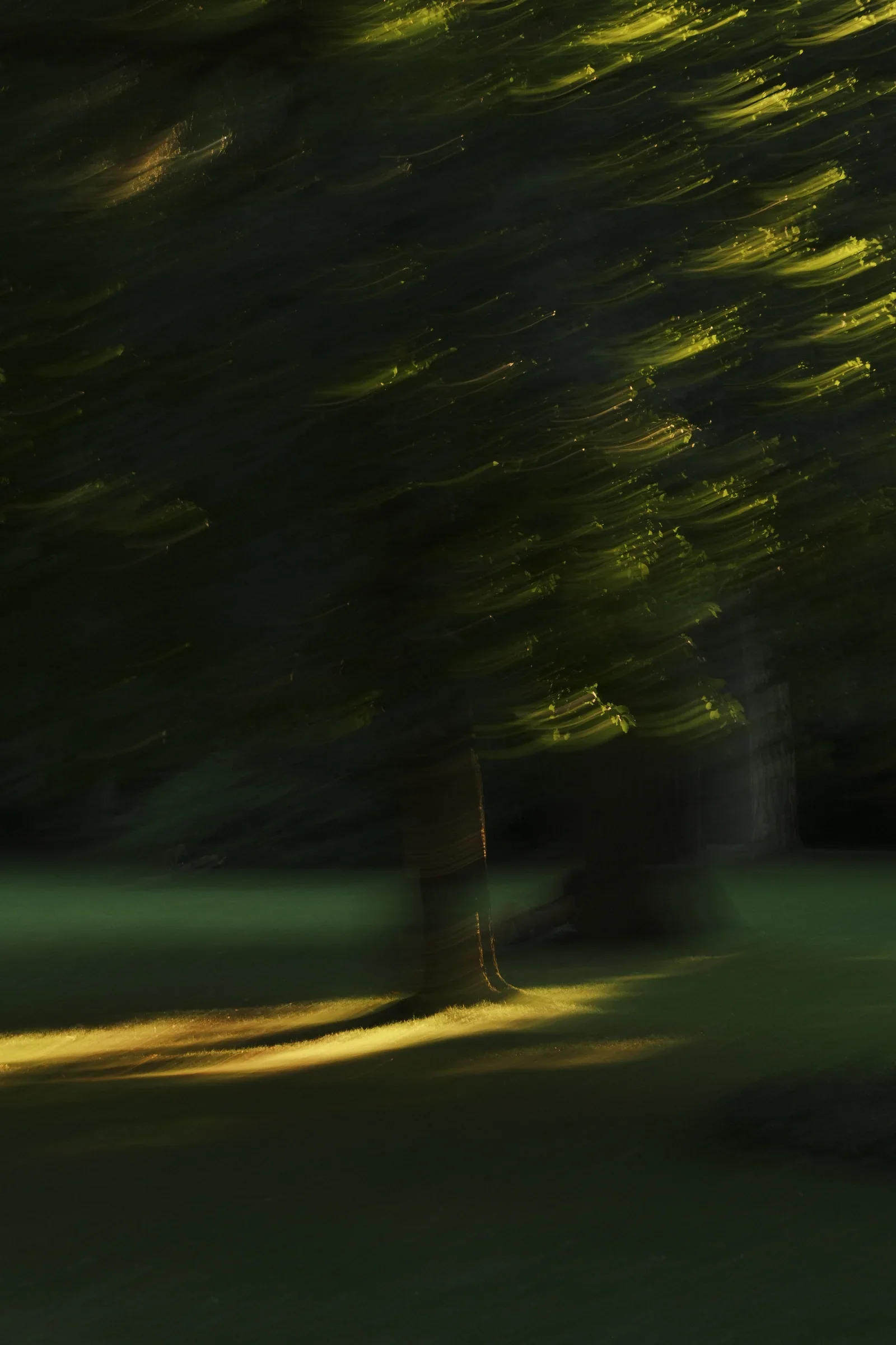 Dream State, a photograph by Frederik Strobl